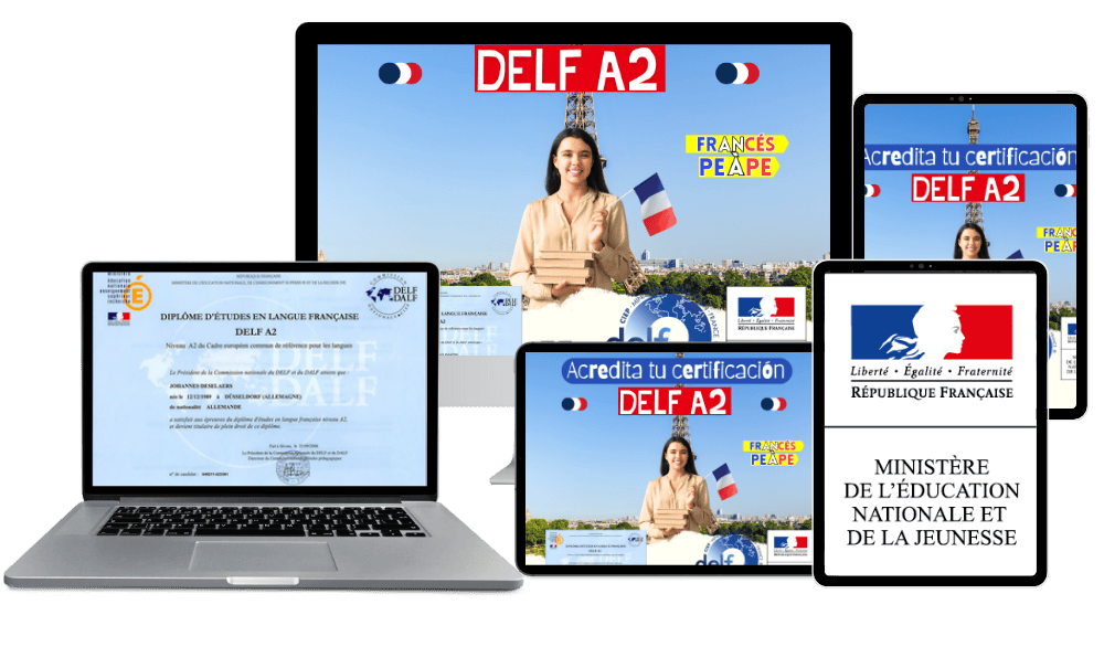 Copia de Mockup Canva Template (2)